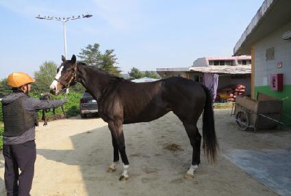 �������� ����