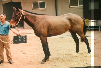 �ҽ��� ����