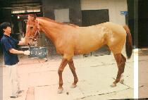 �ϴõ��� (HA NEUL TTA GI) ����