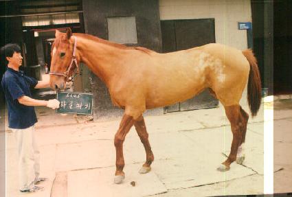 �ϴõ��� ����