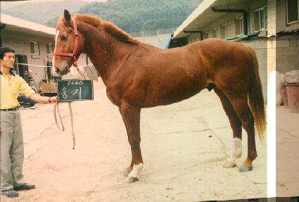 ���� ����