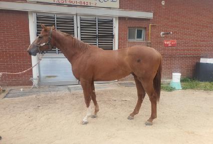 ��Ÿ��ƽ���� ����