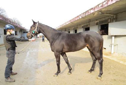 �����ڸ��� ����