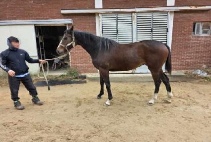 �������¾� ����