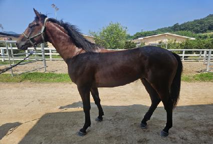 ���¯ ����