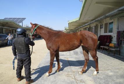 �����̵��� ����