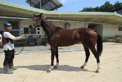 ���ȳ��� ����