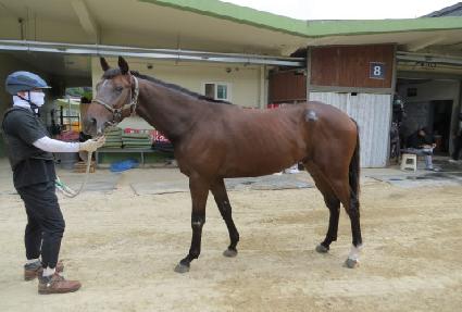 �׷���Ʈ�� ����