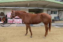 �޸��±�� (DALLINEUN GIPPEUM) ����