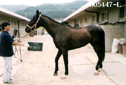 ����� ����