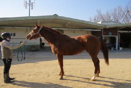 ����ĵ�� ����