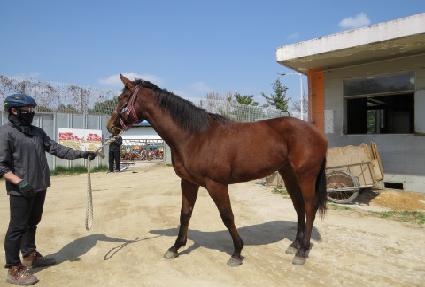 �̽��� ����