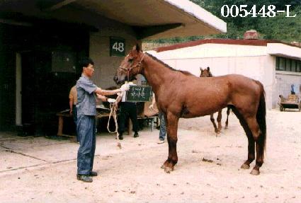 �л��� ����