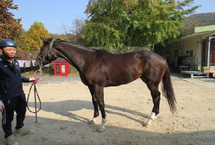 ��ó�� ����