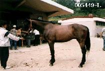 ���԰��� (JEUM IB KA KYENG) ����