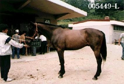 ���԰��� ����