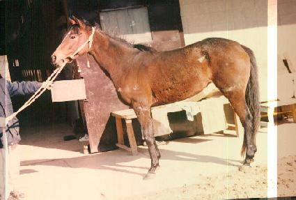 �ݻ��� ����