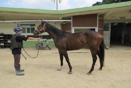 �Ķ��� ����