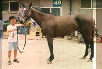 ���� (HYEUK SIN) ����