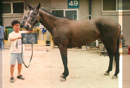 ���� ����