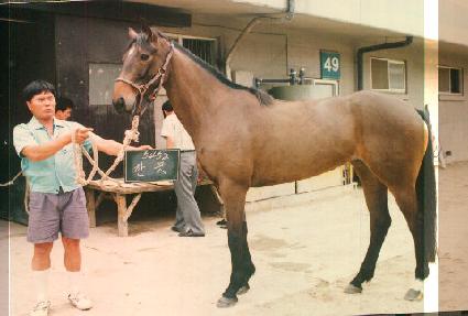 �Ѷ� ����