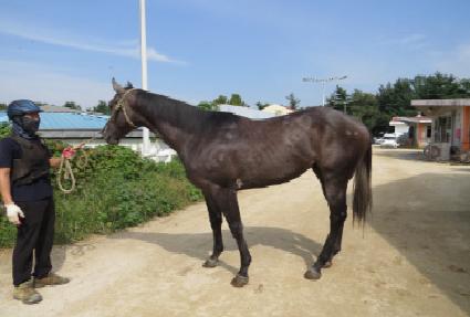 ��Ŭ���� ����