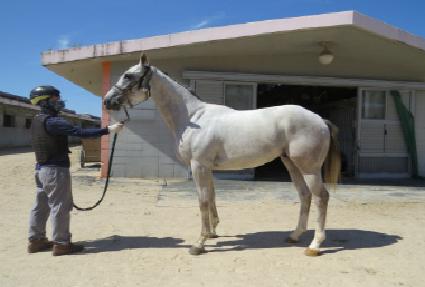 ����Ʈ���� ����