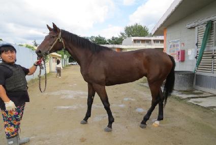 ��Ʈ�ڵ� ����