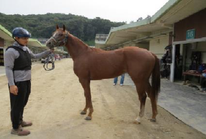 ���������� ����