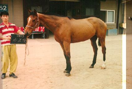 �ٸ�� ����