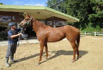 �̱��÷��� (EAGLE PLAY) ����