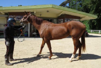 �����ǿ��� ����