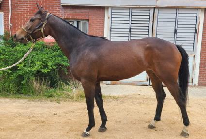 ���߶� ����