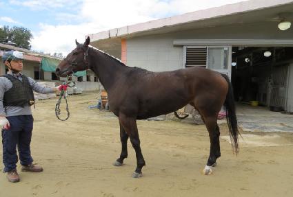 �����۷θ� ����