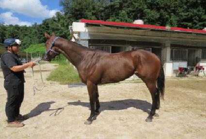 ����Ÿ�� ����