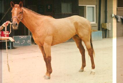 ������ ����