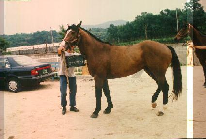 �ڷ��Ľ� ����