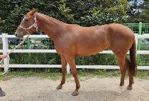 �����̿��� (B K.ELDER) ����