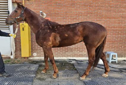 ���������� ����