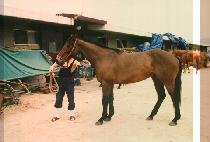 ���� (YO DEUL SONG) ����