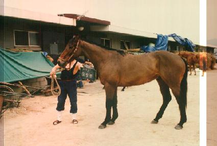 ���� ����