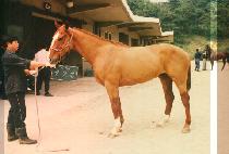 ���߼� (SEUN JUNG SEUN) ����