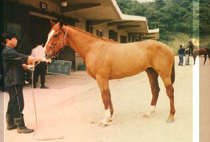 ���߼� ����