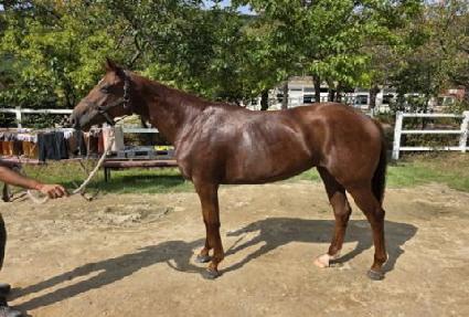 �ݺ������� ����