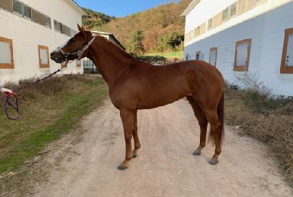 �ι���ĵ�� ����