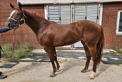 û���� ����