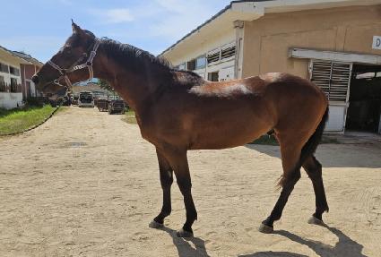 �׷�������� ����