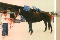 �ٴð��� (BA NEUL KWA SIL) ����