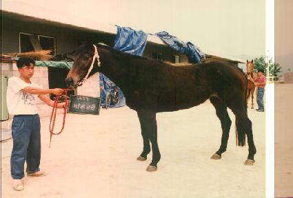 �ٴð��� ����