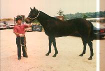 ģȭ�� (CHIN HWA RYEK) ����